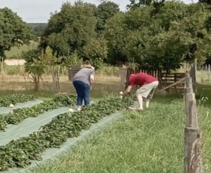 img-contenu (7) Large