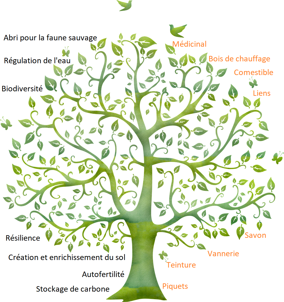 Arbres_des_mots_foret_jardin